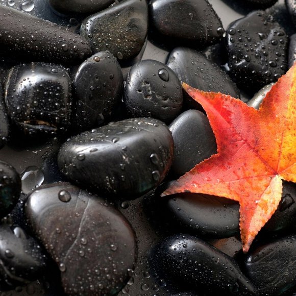 LIVE AND SILENT Show Notification - Picture 3 of 3